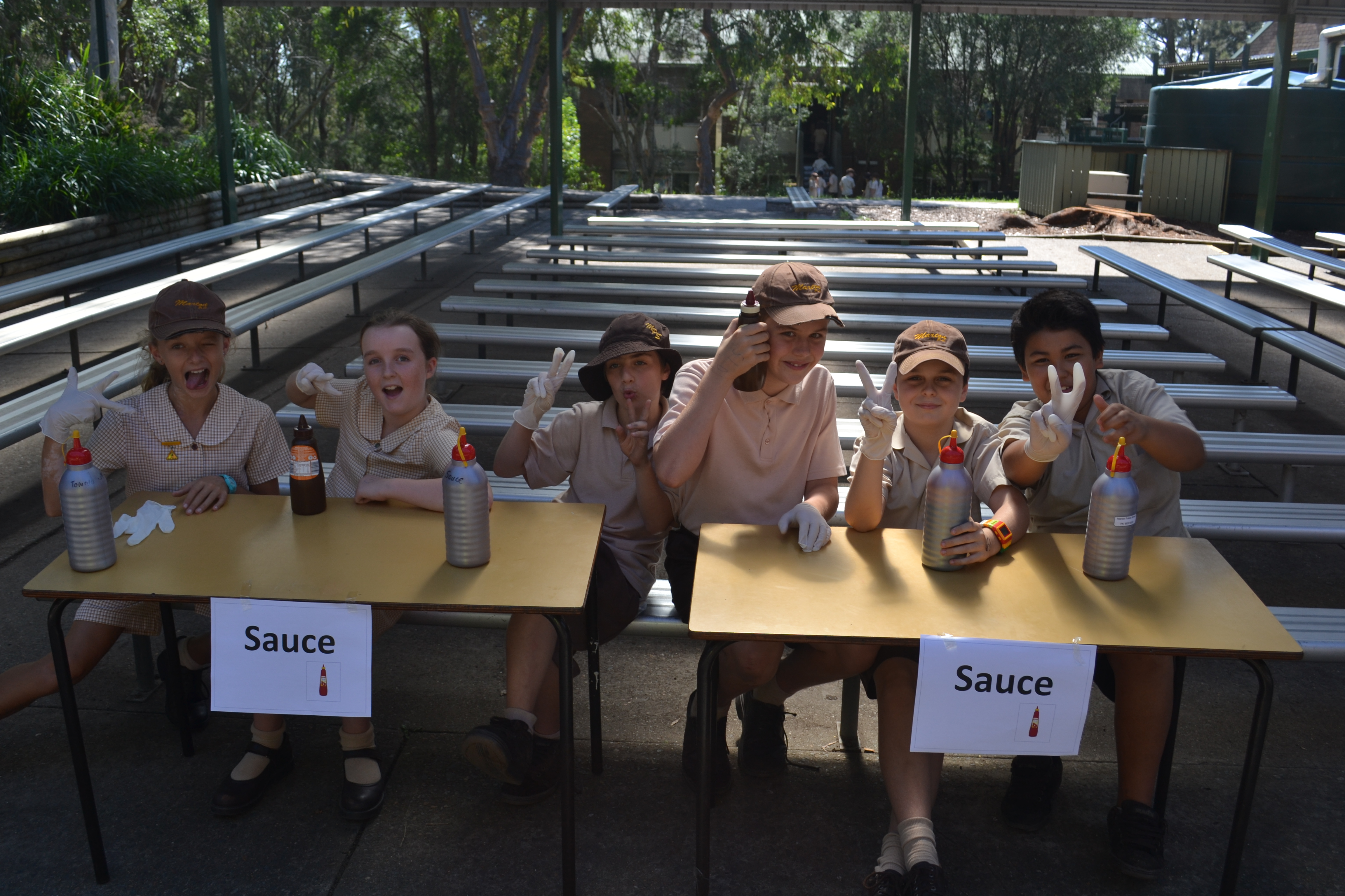 Yr 6 students hard at work!
